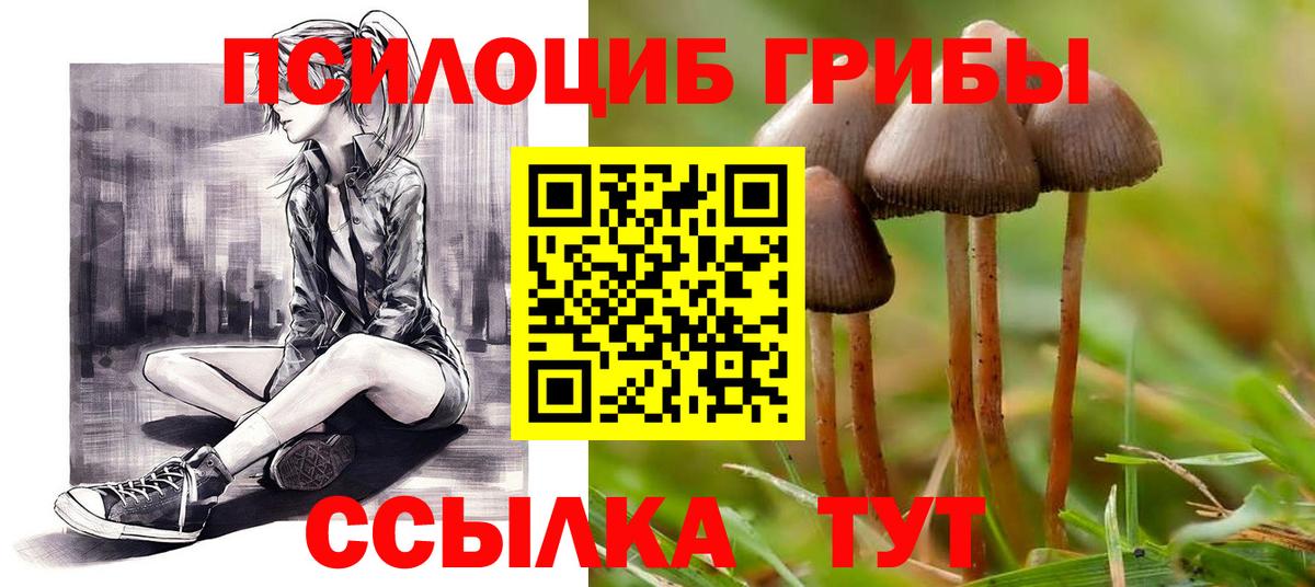 Лиски  Псилоцибиновые грибы GOLDEN TEACHER  Галлюциногенные грибы Psilocybe  Вход с VPN 